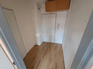 Pronájem bytu 1+kk, Praha - Žižkov, Vlkova, 28 m2