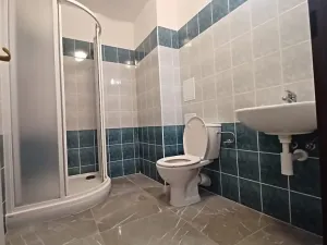 Pronájem bytu 2+kk, Plzeň, Bělohorská, 57 m2