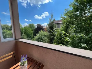 Pronájem bytu 2+kk, Ostrava, Baranovova, 49 m2