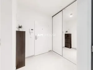 Pronájem bytu 1+kk, Praha - Karlín, Sokolovská, 38 m2