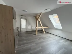 Pronájem bytu 2+kk, Město Touškov, Čemínská, 48 m2