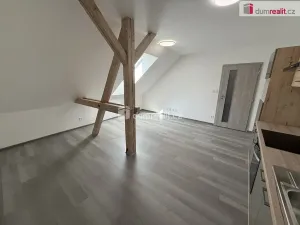Pronájem bytu 2+kk, Město Touškov, Čemínská, 48 m2