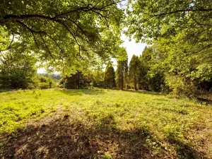 Prodej pozemku pro bydlení, Šťáhlavy, 1372 m2