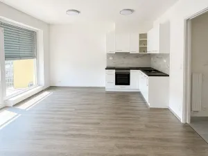 Pronájem bytu 1+kk, Brno, Ondřeje Sekory, 41 m2