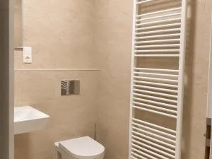 Pronájem bytu 1+kk, Brno - Židenice, Líšeňská, 40 m2