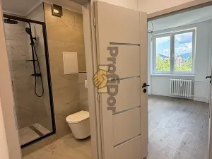 Prodej bytu 2+kk, Kopřivnice, Pod Morávií, 43 m2