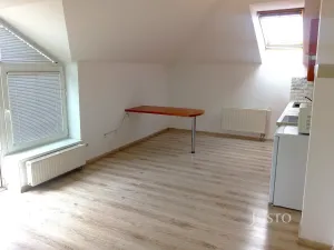 Prodej bytu 1+kk, Písek - Václavské Předměstí, Hostivítova, 35 m2