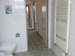 Prodej bytu 1+kk, Písek - Václavské Předměstí, Hostivítova, 35 m2
