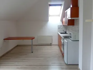 Prodej bytu 1+kk, Písek - Václavské Předměstí, Hostivítova, 35 m2