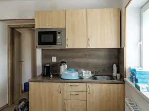 Prodej komerční nemovitosti, Dubí, Horská, 3047 m2
