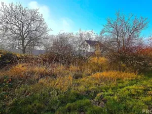 Prodej zahrady, Habrovany, 2698 m2
