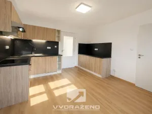 Prodej bytu 6+kk a větší, Stará Paka - Ústí, 300 m2