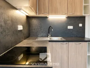 Prodej bytu 6+kk a větší, Stará Paka - Ústí, 300 m2