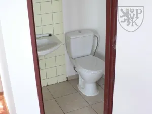 Prodej rodinného domu, Varvažov - Štědronín-Plazy, 1540 m2