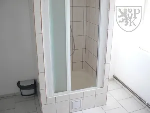 Prodej rodinného domu, Varvažov - Štědronín-Plazy, 1540 m2