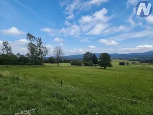 Prodej pozemku pro bydlení, Nová Pec, 2165 m2