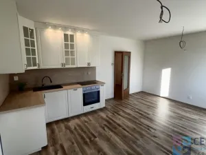 Pronájem bytu 1+kk, Rychnov u Jablonce nad Nisou, Mlýnská, 38 m2