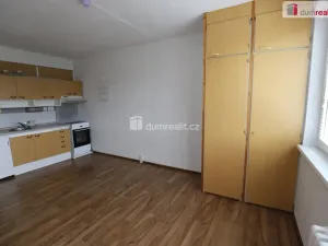 Pronájem bytu 1+kk, Karlovy Vary - Rybáře, U Koupaliště, 27 m2