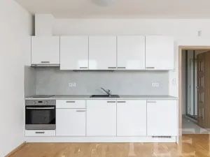 Pronájem bytu 1+kk, Praha - Žižkov, Olšanská, 36 m2