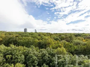 Pronájem bytu 1+kk, Praha - Žižkov, Olšanská, 36 m2