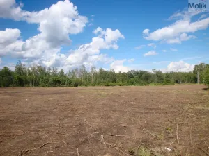 Prodej pozemku pro bydlení, Mariánské Radčice, Československé armády, 1155 m2