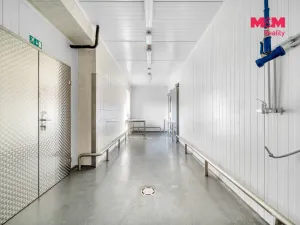 Pronájem obchodního prostoru, Červený Kostelec, Sokolská, 726 m2