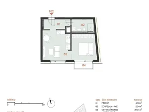 Prodej bytu 2+kk, Brno, Příční, 42 m2