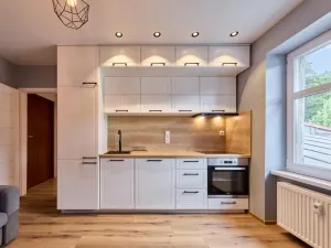 Prodej bytu 2+kk, Svoboda nad Úpou, 5. května, 33 m2
