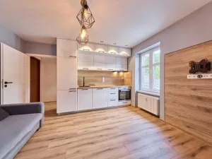 Prodej bytu 2+kk, Svoboda nad Úpou, 5. května, 33 m2