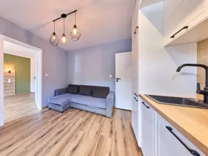 Prodej bytu 2+kk, Svoboda nad Úpou, 5. května, 33 m2