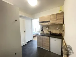 Pronájem bytu 1+1, Praha - Karlín, Sokolovská, 29 m2