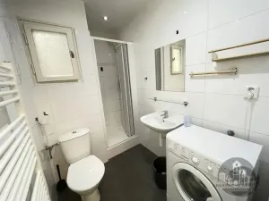 Pronájem bytu 1+1, Praha - Karlín, Sokolovská, 29 m2