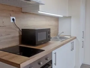 Pronájem bytu 1+kk, Ostrava - Přívoz, Palackého, 26 m2