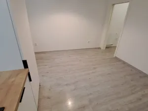 Pronájem bytu 1+1, Olomouc, Dobrovského, 50 m2