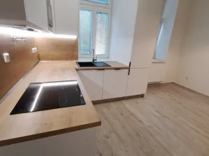 Pronájem bytu 1+1, Olomouc, Dobrovského, 50 m2