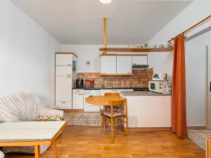 Prodej bytu 2+kk, České Budějovice - České Budějovice 2, Ant. Barcala, 42 m2