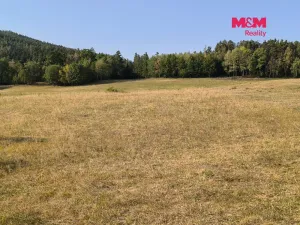 Prodej louky, Hoslovice, 2004 m2