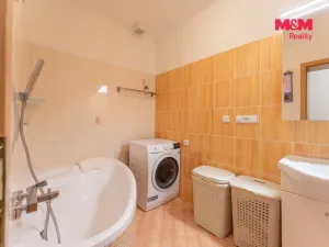 Prodej bytu 4+kk, Milovice - Mladá, Kaštanová, 91 m2