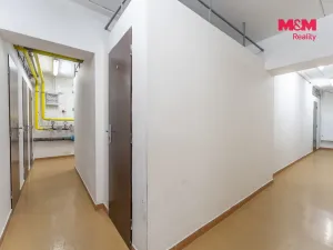 Prodej bytu 4+kk, Milovice - Mladá, Kaštanová, 91 m2