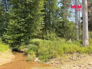Prodej rybníku, Dolní Hořice - Pořín, 8552 m2
