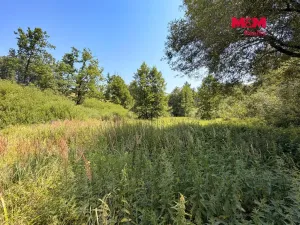 Prodej rybníku, Dolní Hořice - Pořín, 8552 m2
