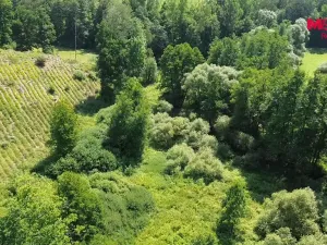 Prodej rybníku, Dolní Hořice - Pořín, 8552 m2