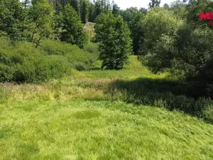 Prodej rybníku, Dolní Hořice - Pořín, 8552 m2