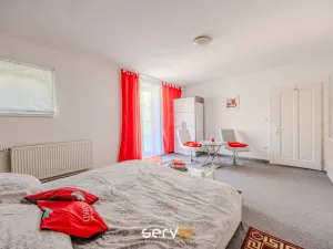 Pronájem bytu 2+1, Brno, Mahenova, 90 m2