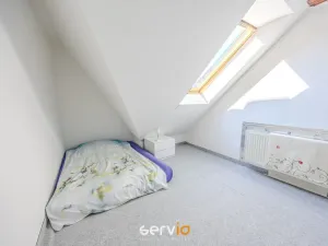 Pronájem bytu 3+kk, Brno, Mahenova, 100 m2