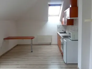 Prodej bytu 1+kk, Písek, Hostivítova, 35 m2