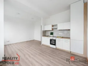 Pronájem bytu 2+kk, Mlékojedy, 57 m2