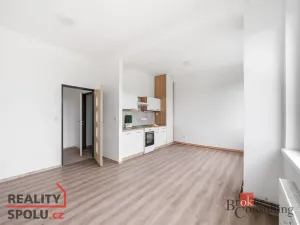 Pronájem bytu 2+kk, Mlékojedy, 57 m2