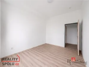 Pronájem bytu 2+kk, Mlékojedy, 57 m2