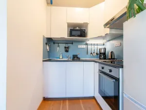 Pronájem bytu 2+kk, Praha - Vinohrady, Perucká, 40 m2
